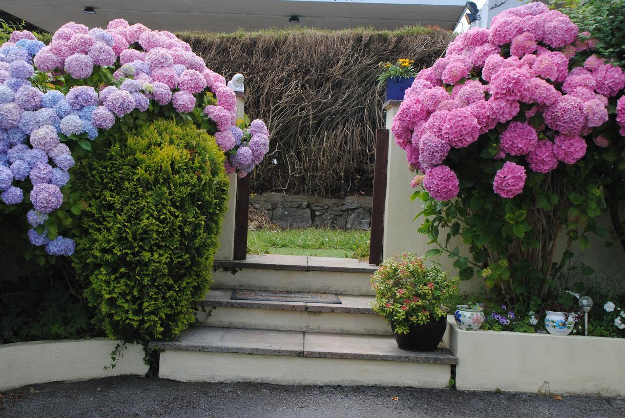 Huccaby Tor Apartmernt Torquay Luaran gambar